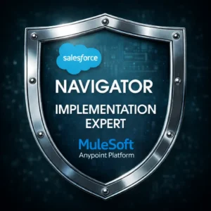 Implementation Expert